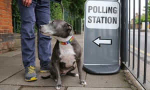A dog at a polling station in Chestnuts Primary School