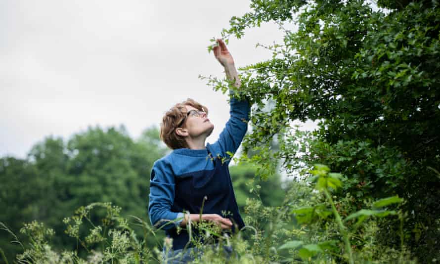 Fowler picking hawthorn leaves while foraging for edible leaves and flowers in her local park in Birmingham.