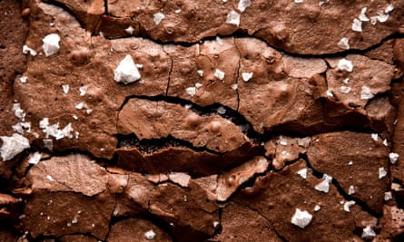 Gluten Free sour dough brownie