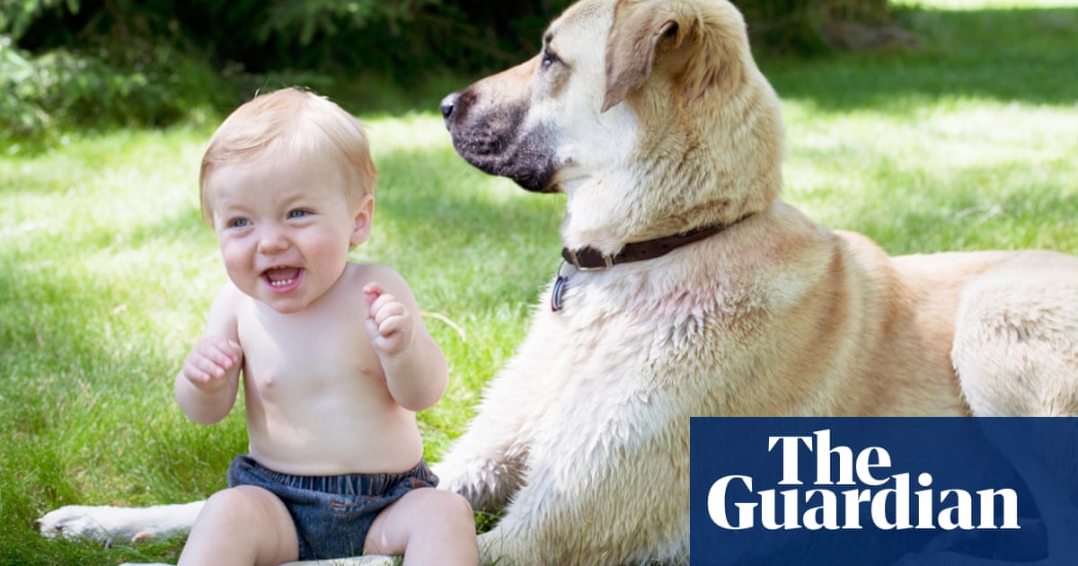 Quiz Popular Dog Name Or Popular Baby Name Dogs The Guardian Quiz Popular Dog Name Or Popular Baby Name Dogs The Guardian