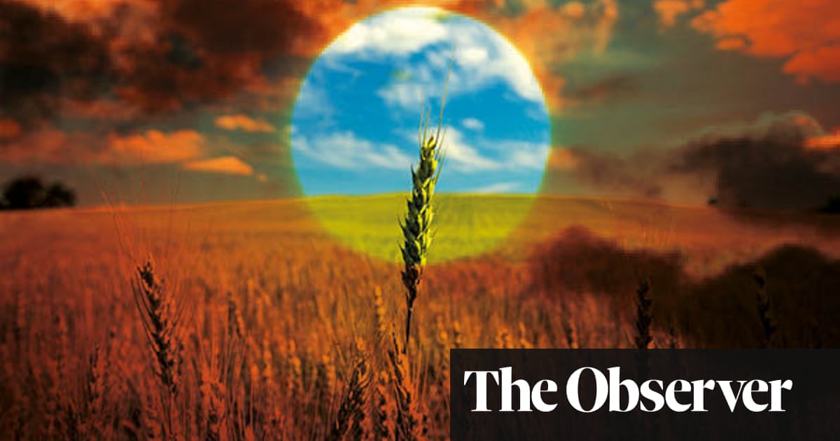 Apocalypse now? The alarming effects of the global food crisis