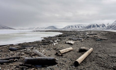 Echoes of the Arctic … Priest’s imaginary islands have a grey vibe to them. Photograph: Reuters