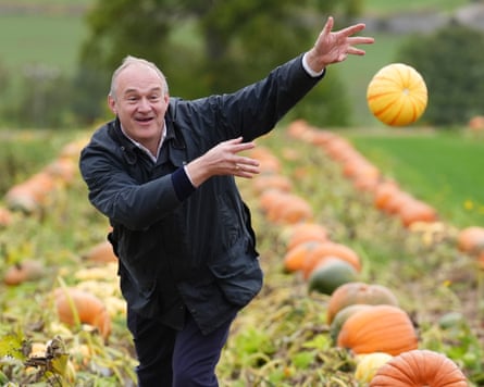 Ed Davey in a pumpkin field