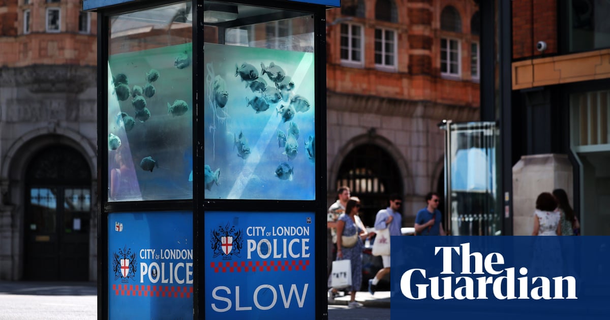 Banksy confirma que las pirañas son su séptima obra de arte animal en Londres | Banksy Banksy confirma que las pirañas son su séptima obra de arte animal en Londres | Banksy