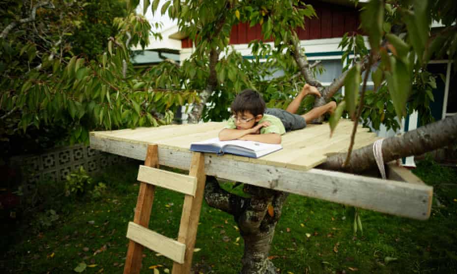 A boy reading a book in treehouse.