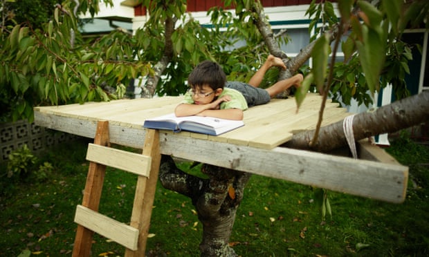 Boy reading book in treehouse.
C4ARYF Boy reading book in treehouse.