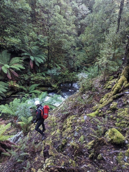 The search for Celine Cremer in Tasmanian wilderness in June 2023