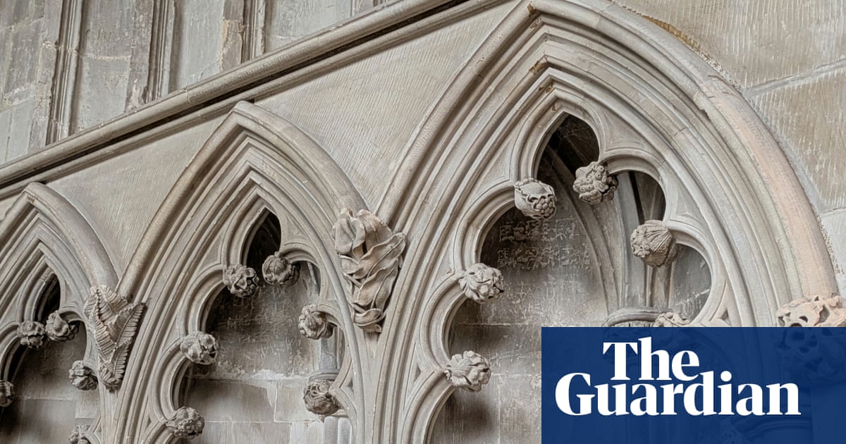 Country diary: Orchids, plums and pine cones – all bursting out of cathedral walls | Nic Wilson