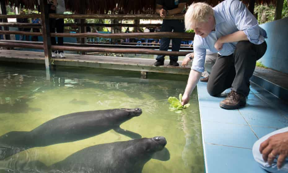 Boris Johnson meets manatees at an animal rescue centre near Iquitos.