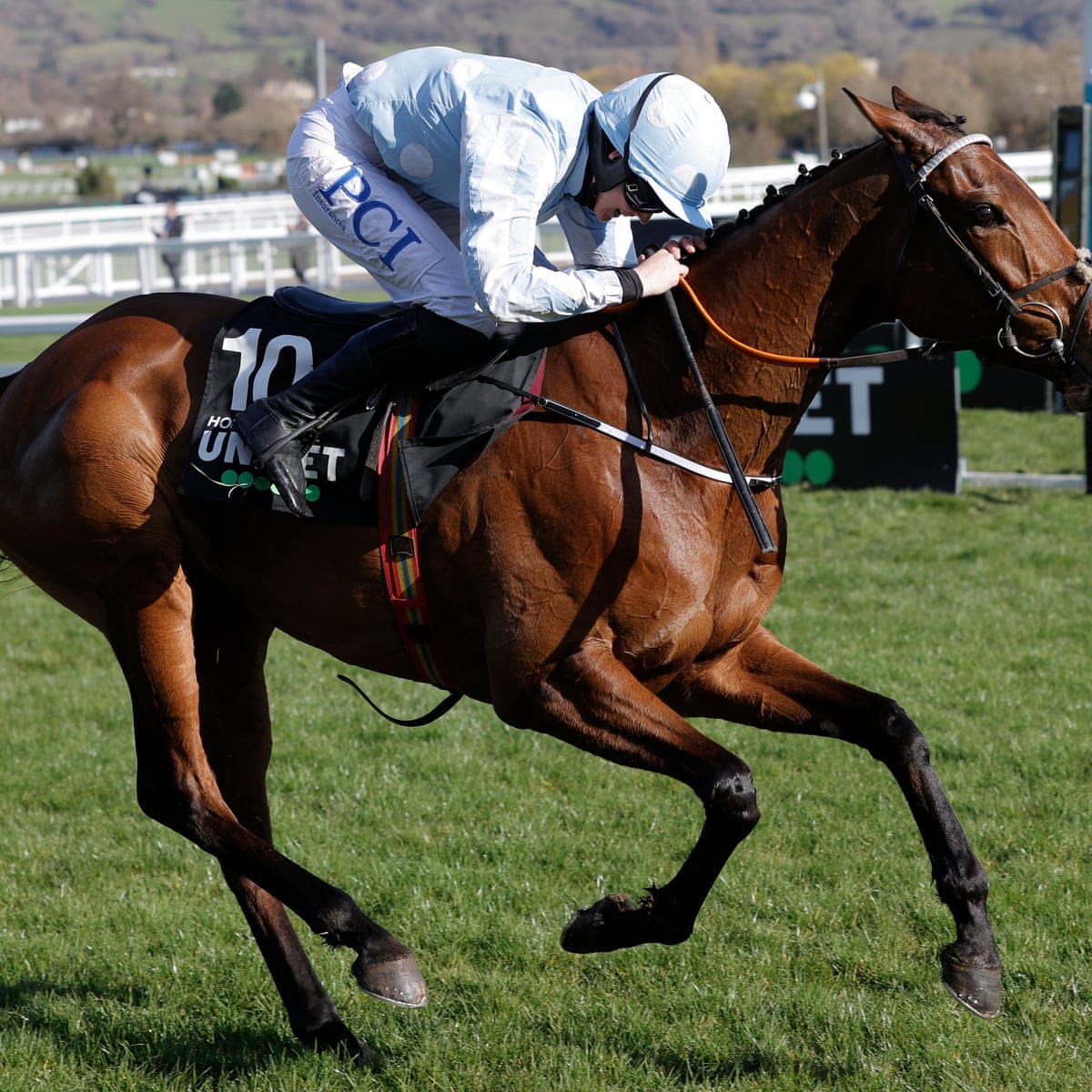 Cheltenham Festival 21 Honeysuckle Wins The Champion Hurdle As It Happened Sport The Guardian Cheltenham Festival 21 Honeysuckle Wins The Champion Hurdle As It Happened Sport The Guardian