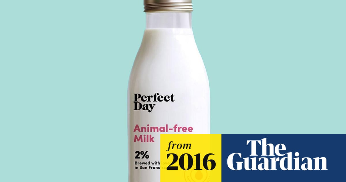 Animal Free Dairy Products Move A Step Closer To Market Food The Guardian