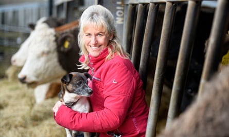 The NFU president Minette Batters on her farm near Salisbury, Wiltshire with her herd of Simmental Cross cattle.