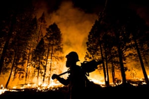Wildfires ravaged california as it suffered it’s worst drought on record. Firefighters set a controlled burn in the Sequoia National Park to protect the trees.<br>