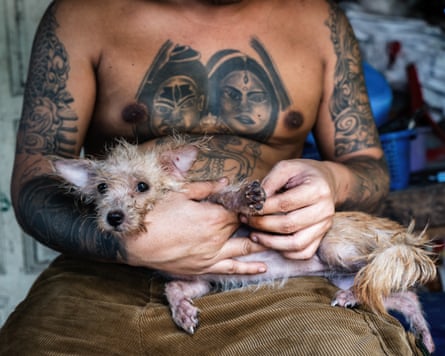 A man with tattoos across his chest and arms holds a small scruffy dog outside his home in Phuket, Thailand