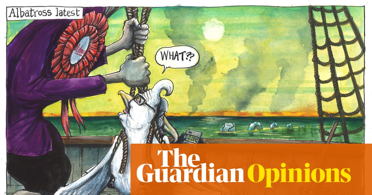 Martin Rowson on Labour’s problems with Keir Starmer and Peter Mandelson – cartoon