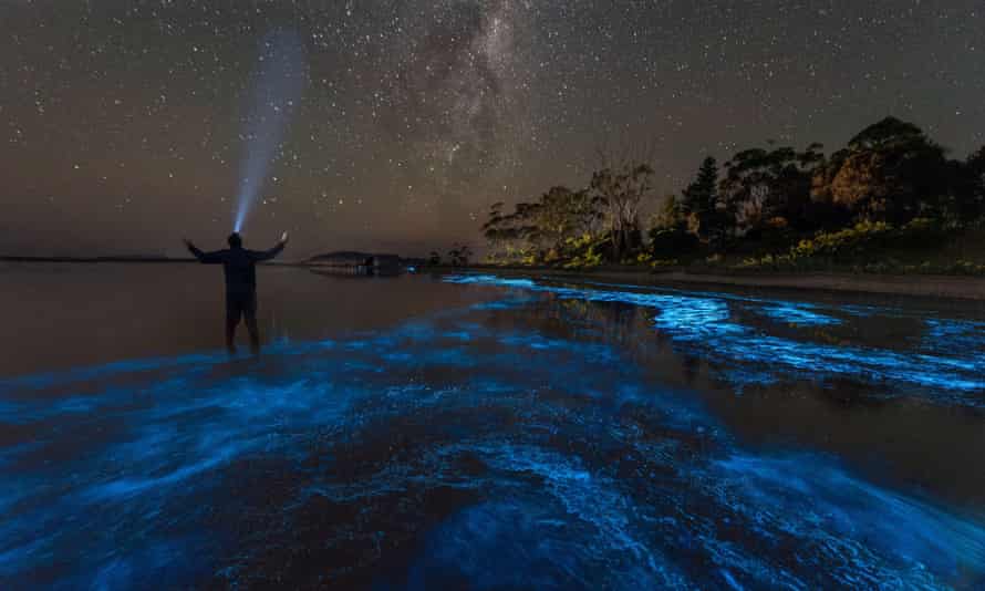 Bioluminescence under the Milky Way (pictured here in Tasmania)