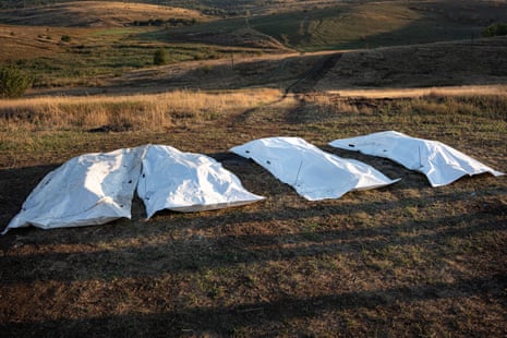 Four white sheets covering human remains lie on dry grass in an open field with rolling hills beyond