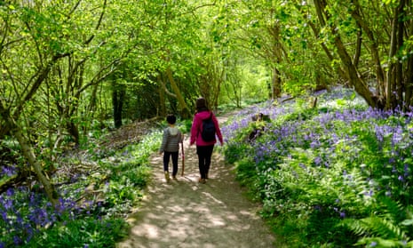 A mother and her young son walking along a country path through a bluebell wood forest
