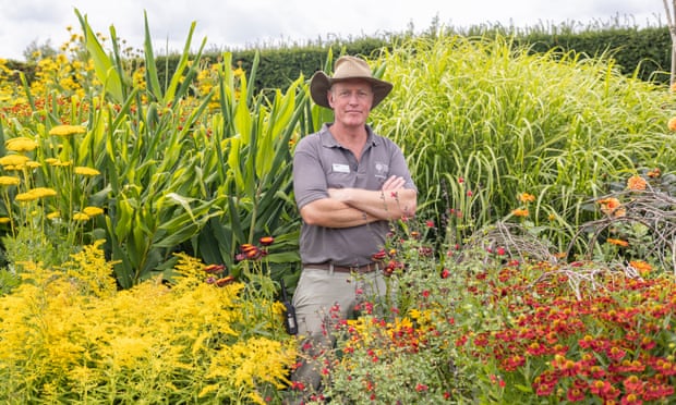 Eine traditionellere krautige Grenze, aber immer noch voller klimaresistenter Echinicea und Achillea
