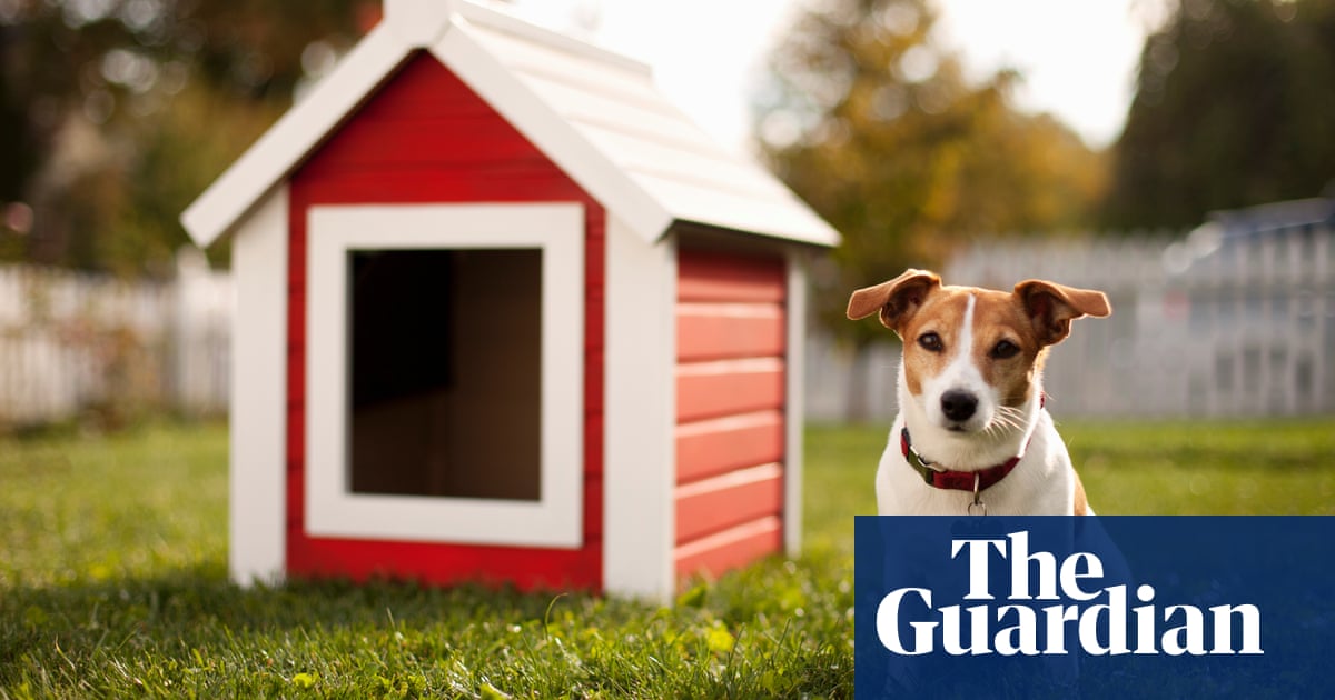Hardware claw: Bunnings digs into pet supplies as recession-proof sector  booms | Business | The Guardian