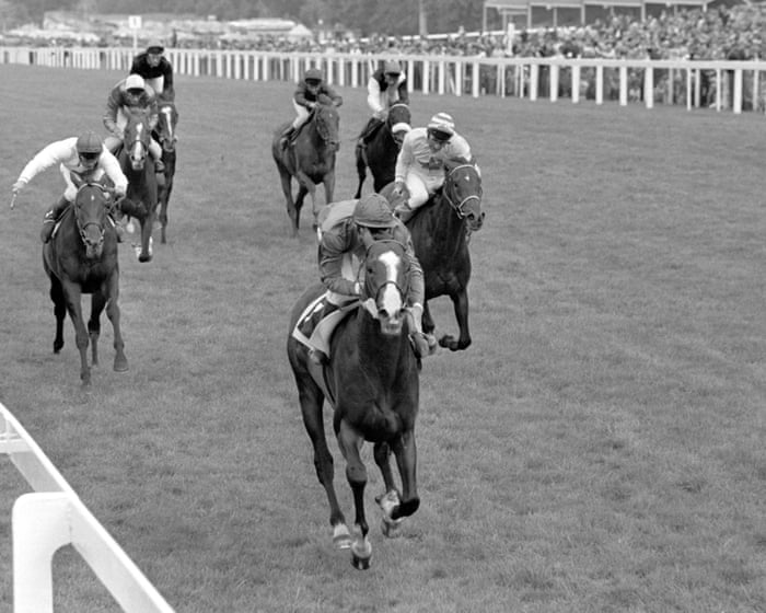 Shergar’s sad demise has racefans hoping famous colours sparkle at Royal Ascot