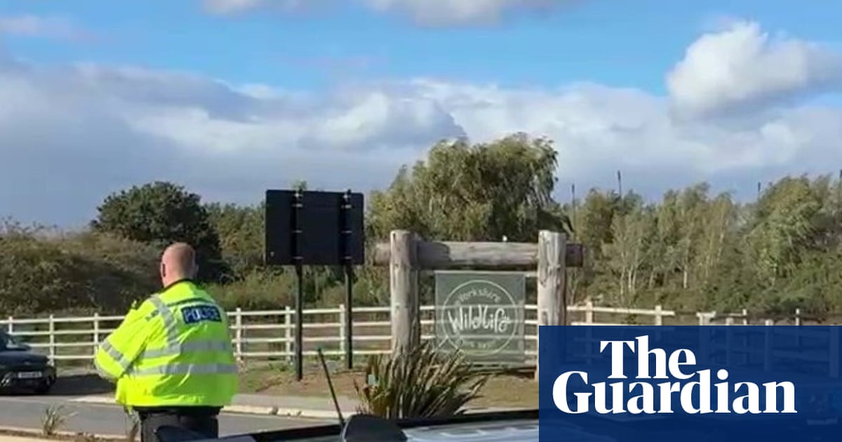 Man suffers ‘serious injury’ after jumping into zoo tiger enclosure