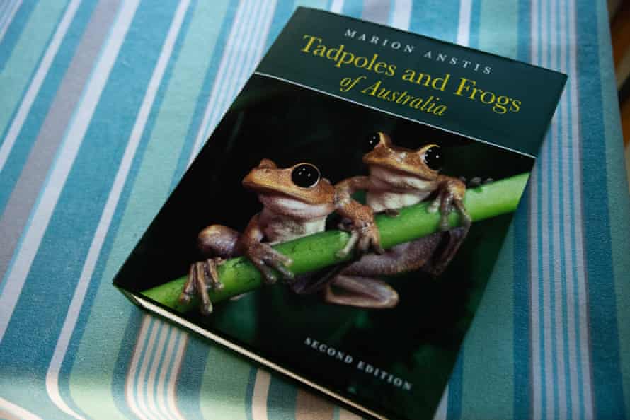 Tadpoles and Frogs of Australia