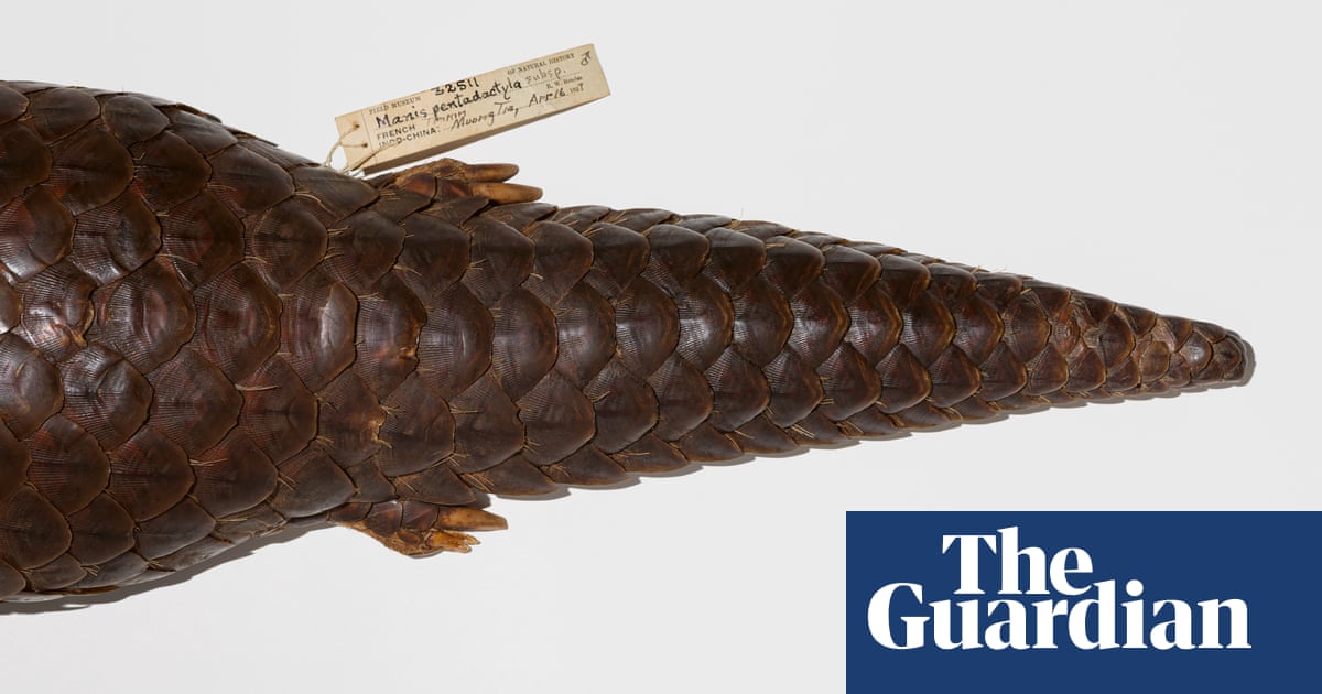 Extinct and endangered species – in pictures