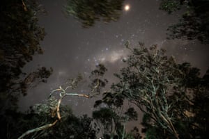 The starry sky above the Cape Pillar Lodge.