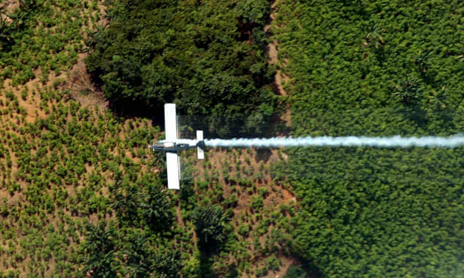 An plane sprays coca plants in El Catatumbo, Norte de Santander department, Colombia.