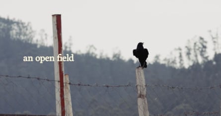 A black crow-like bird on a fence post in a bleak landscape, with the words ‘an open field’ to its left.
