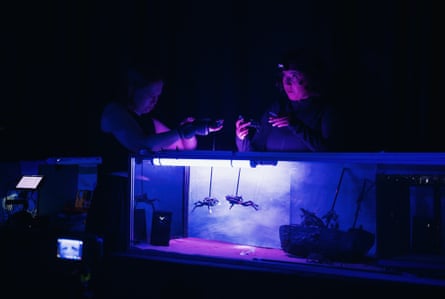 Beckett Gray and Camilla Anvar create scenes for The Wreck.