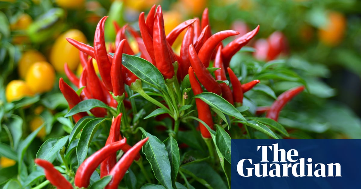 How To Grow Your Own Food With Or Without A Garden Food The