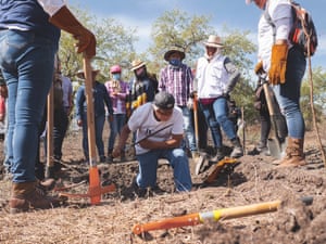 A man sniffs the blade of the machete he’s digging with hoping to smell victims’ corpses or body parts in Iguala. Around him are other volunteers led by Mario Vergara, who for years has helped families find their missing ones.