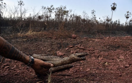 A man holds a dead snake at an area affected by forest fires in Otuquis national park, in the Pantanal ecoregion of south-eastern Bolivia.