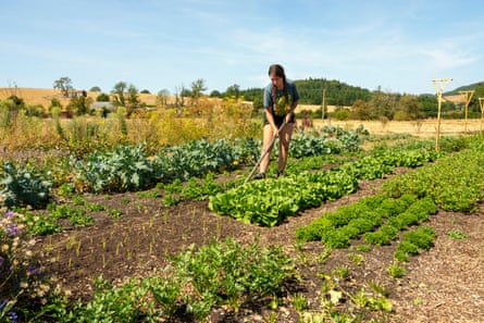Lydia Dibben at work on her farm