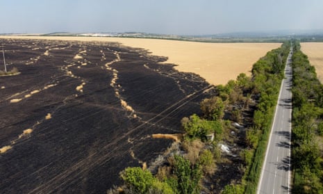 Wheat plantations burnt after Russian airstrikes in Donetsk oblast.