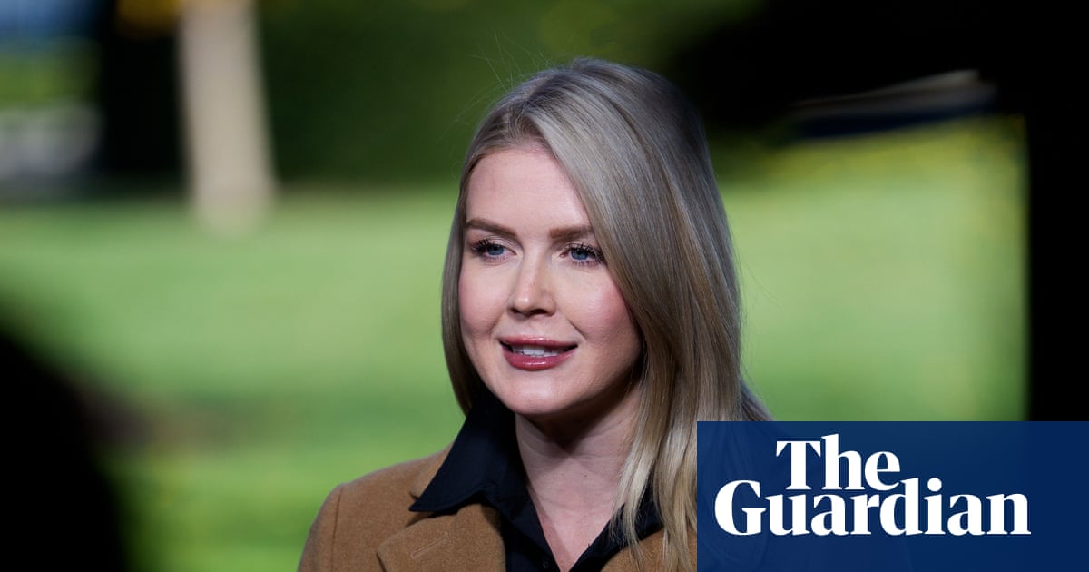 Karoline Leavitt’s nephew’s mother detained by US immigration agents