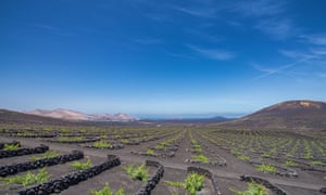 Wine Tours Lanzarote is running virtual tours and tastings of Lanzarote’s volcanic wines