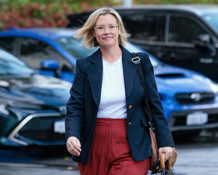 ‘Nunchucks’ wielded by agitated man in Hannah Beazley’s office may have been drumsticks, court told