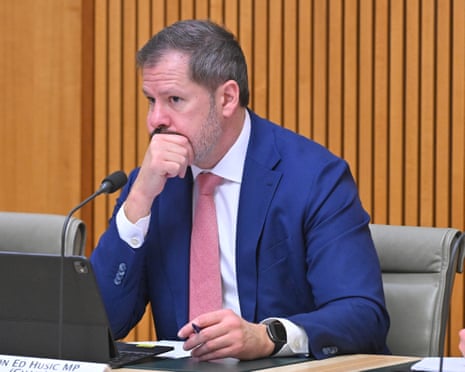 Labor MP Ed Husic welcomes commonwealth sanctions over settler violence.