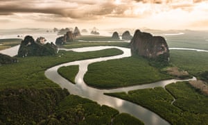 The mangrove forests of Phang Nga Bay, Thailand, in an image from Michael Poliza’s The World.