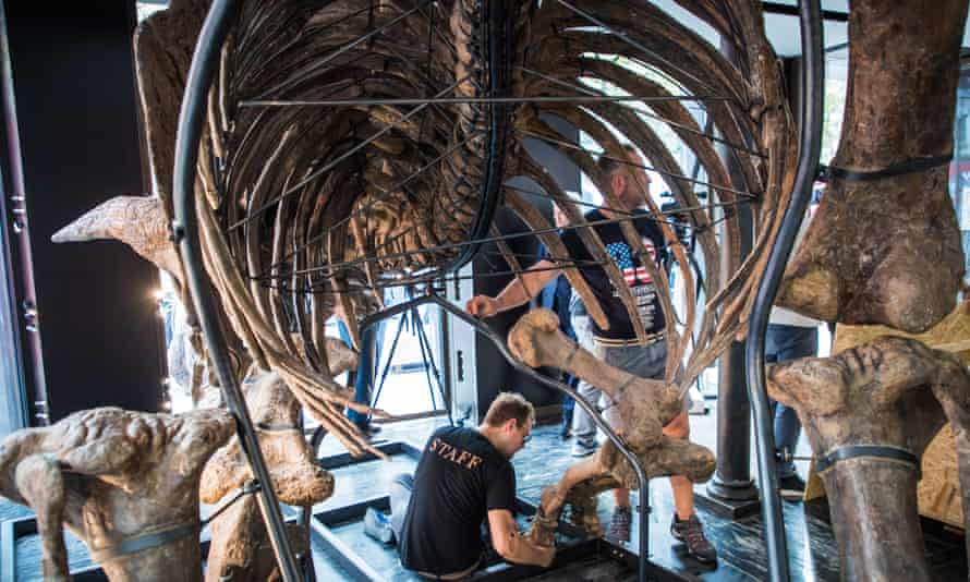 ribs and bones being enactment together