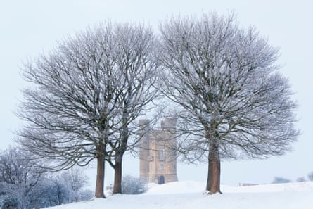 Three trees on a snowy day behind which is an old castle-like building