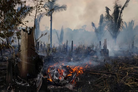 A burnt area of the Amazonia rainforest in Apui, southern Amazonas State, Brazil, in September 2022.