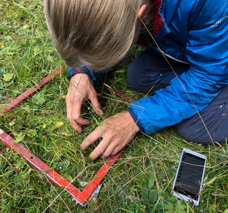 A woman kneeling in a field and combing through a patch of grass enclosed by a rigid red square
