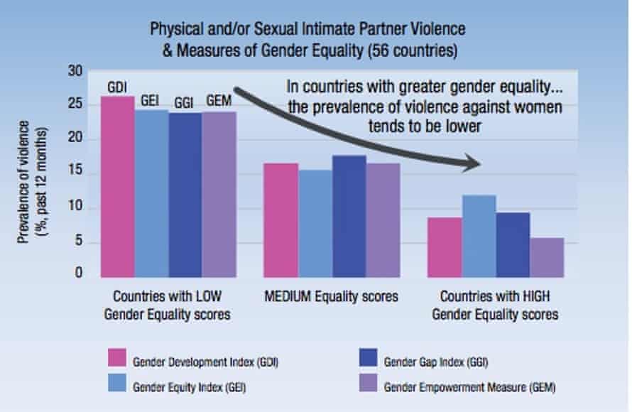 Australians are being told that gender inequality is the root cause of domestic violence. But is Australians are being told that gender inequality is the root cause of domestic violence. But is