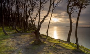 The south shore of Brownsea Island, Dorset.