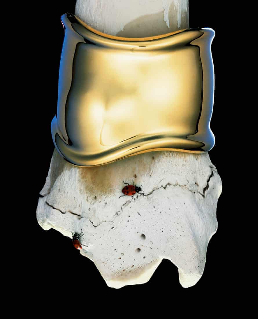 An Elsa Peretti gold cuff modelled on a bone, with ladybird. Hiro never used digital enhancement to produce his sublime images.