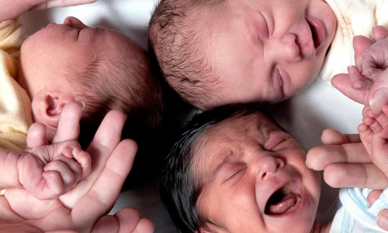 Newborn babies in a maternity ward. Photograph: Roger Bamber/Alamy